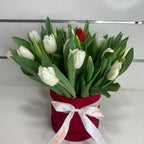 White Tulips in Box