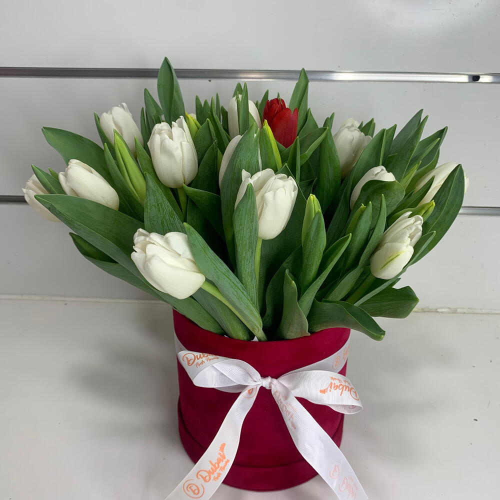 White Tulips in Box