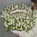 201 White N Pink Tulip Bouquet