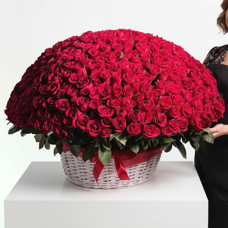 450 Red  Roses  Big Basket