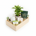 Green Serenity Wellness Gift Box