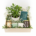 Luxury Earl Grey Tea & Succulent Gift Set