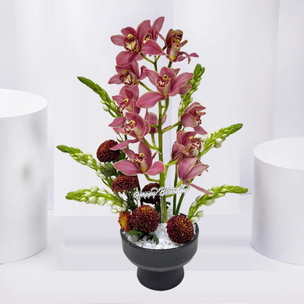 Orchid Birthday Elegance