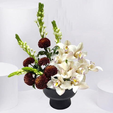 Serene Orchid Oasis