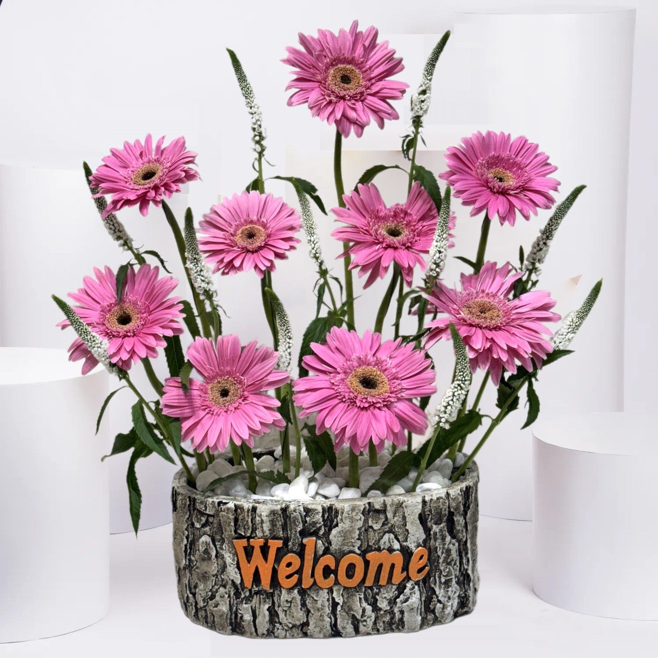 Sunny Pink Welcome