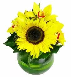 Citron - FWR - Arabian Petals (2091657429050)