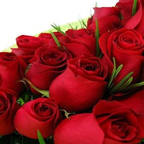 Beautiful Red Roses Bouquet - Arabian Petals (2108419702842)