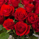 20 roses 'Red Calypso'