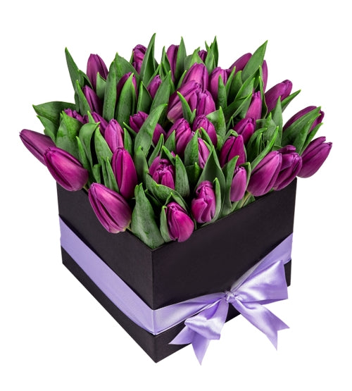 30 Purple Tulips in Squire box (6583966924964)