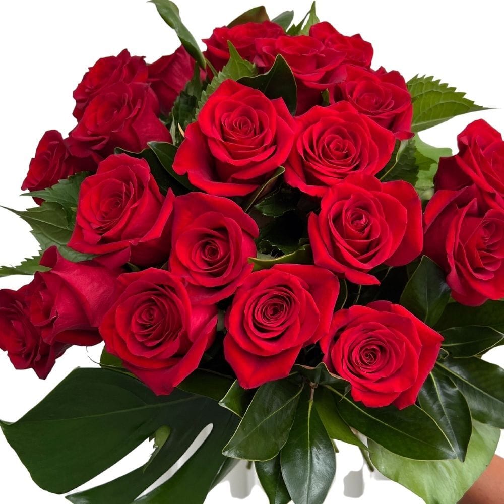 20 Premium Red Rose Bouquet