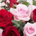 Love Actually-Red and Pink Roses (5818584072356)