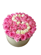 50 Pink and White Roses with circular box (6580802224292)