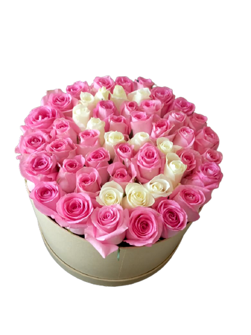 50 Pink and White Roses with circular box (6580802224292)