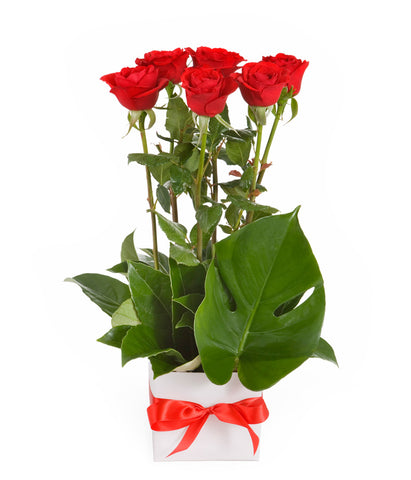 Box with Red Roses - Arabian Petals (4361933094957)