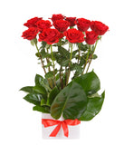 Box with Red Roses - Arabian Petals (4361933094957)