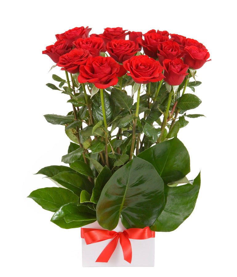 Box with Red Roses - Arabian Petals (4361933094957)