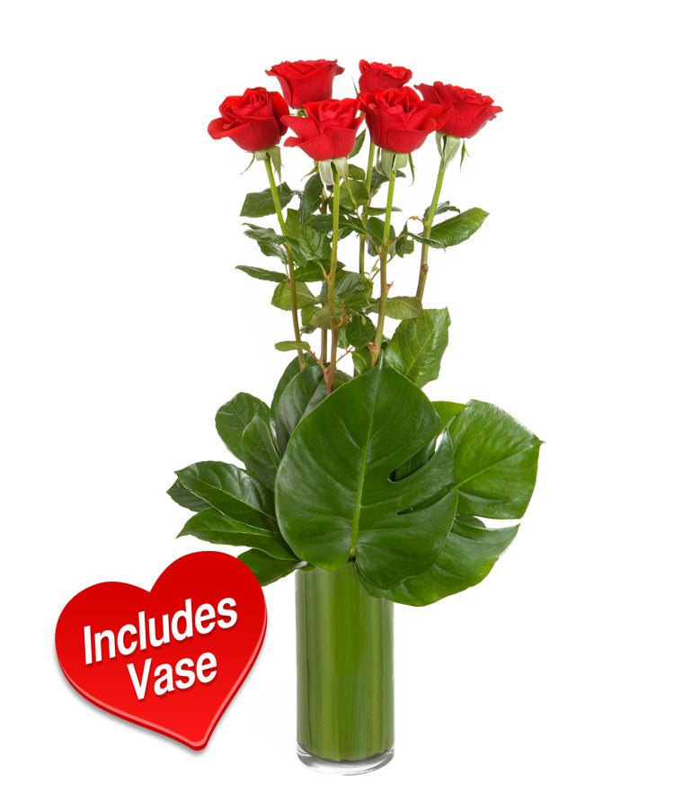 Vase with Red Roses - Arabian Petals (2525060857914)