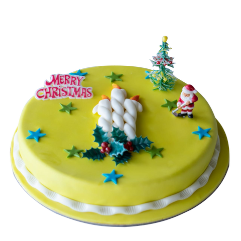 NOVELTY CAKE-05 (5940574355620)