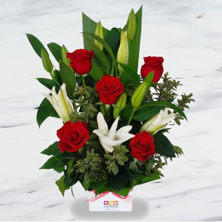 WINNING COMBO (5818657341604)