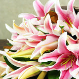 Perfumed Pink Oriental Lilies - Arabian Petals (4743603781677)