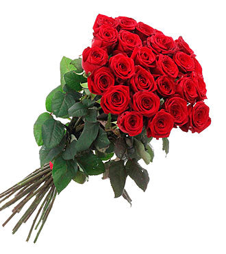 Beautiful Red Roses  - VD - Arabian Petals (2075649343546)