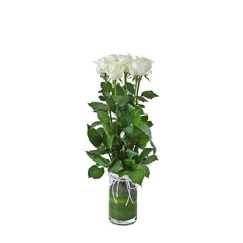 Vase with White Roses - Arabian Petals (2525062365242)