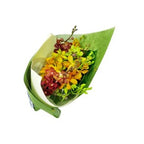 Autumn's Rainbow - FWR - Arabian Petals (2091067211834)