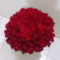 150 Roses 70 CM in Vase Arrangement