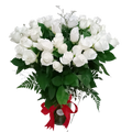 60 cm Long Stems 50 White Roses