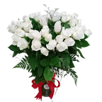 60 cm Long Stems 50 White Roses