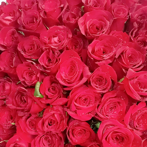 101 Red Roses  Bouquet (70CM)