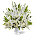 Beautiful Dream - FWR - Arabian Petals (7016214855844)