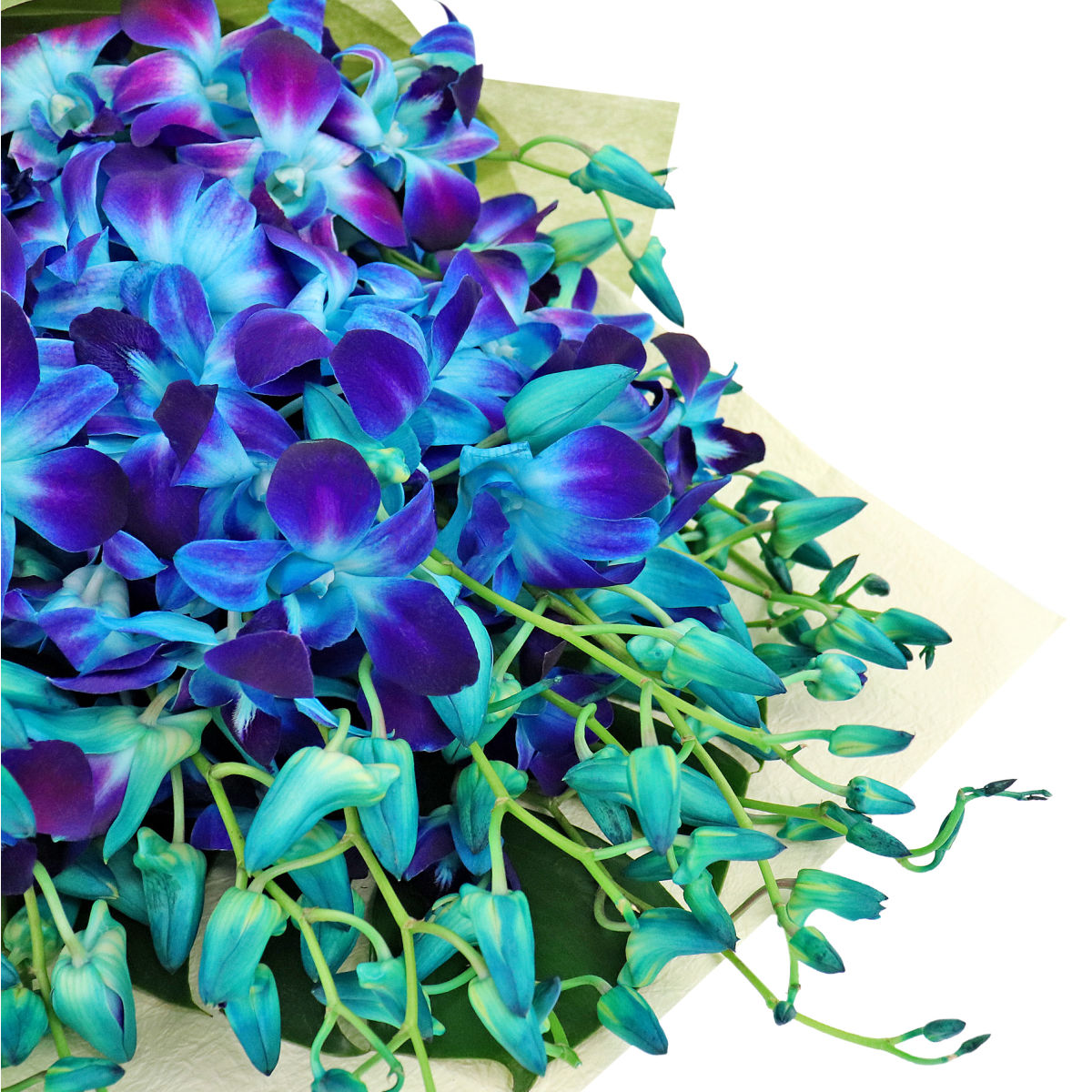 Blue Orchid Bouquet (6837691285668)