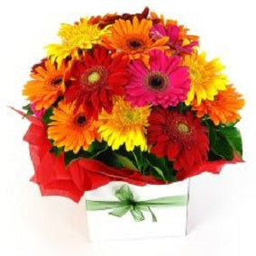 Bright Delight - FWR - Arabian Petals (2096546676794)