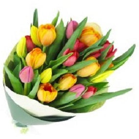 Bright Mixed Tulips - FWR - Arabian Petals (2088971108410)