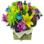 Carnival Of Colour - FWR - Arabian Petals (2108405055546)