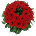 Daisy Chain Wreath - FWR - Arabian Petals (2096543301690)
