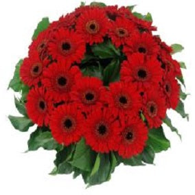 Daisy Chain Wreath - FWR - Arabian Petals (2096543301690)
