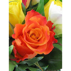 Glory Of Springtime - Arabian Petals (5367227482276)