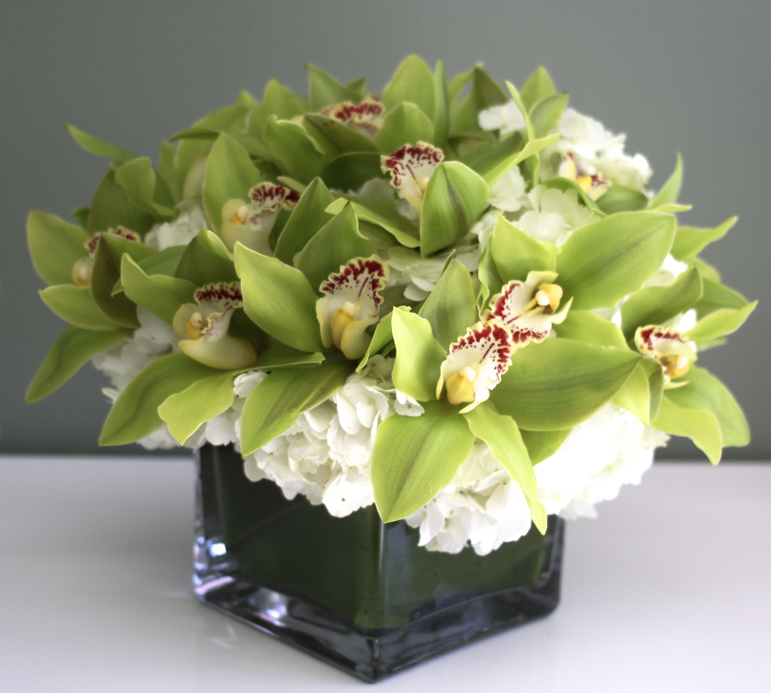 Green Orchid Overture - Arabian Petals (5468622127268)