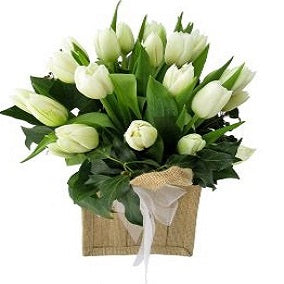 Heralds Of Spring - FWR - Arabian Petals (2089135964218)