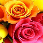 Just Roses - Arabian Petals (2105624625210)