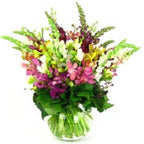 Tropical Garden - FWR - Arabian Petals (2093501907002)