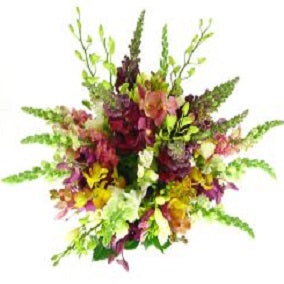 Tropical Garden - FWR - Arabian Petals (2093501907002)