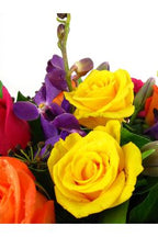 Impulsive - FWR - Arabian Petals (2089146351674)