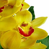Mixed Orchid Vase - FWR - Arabian Petals (2093554204730)