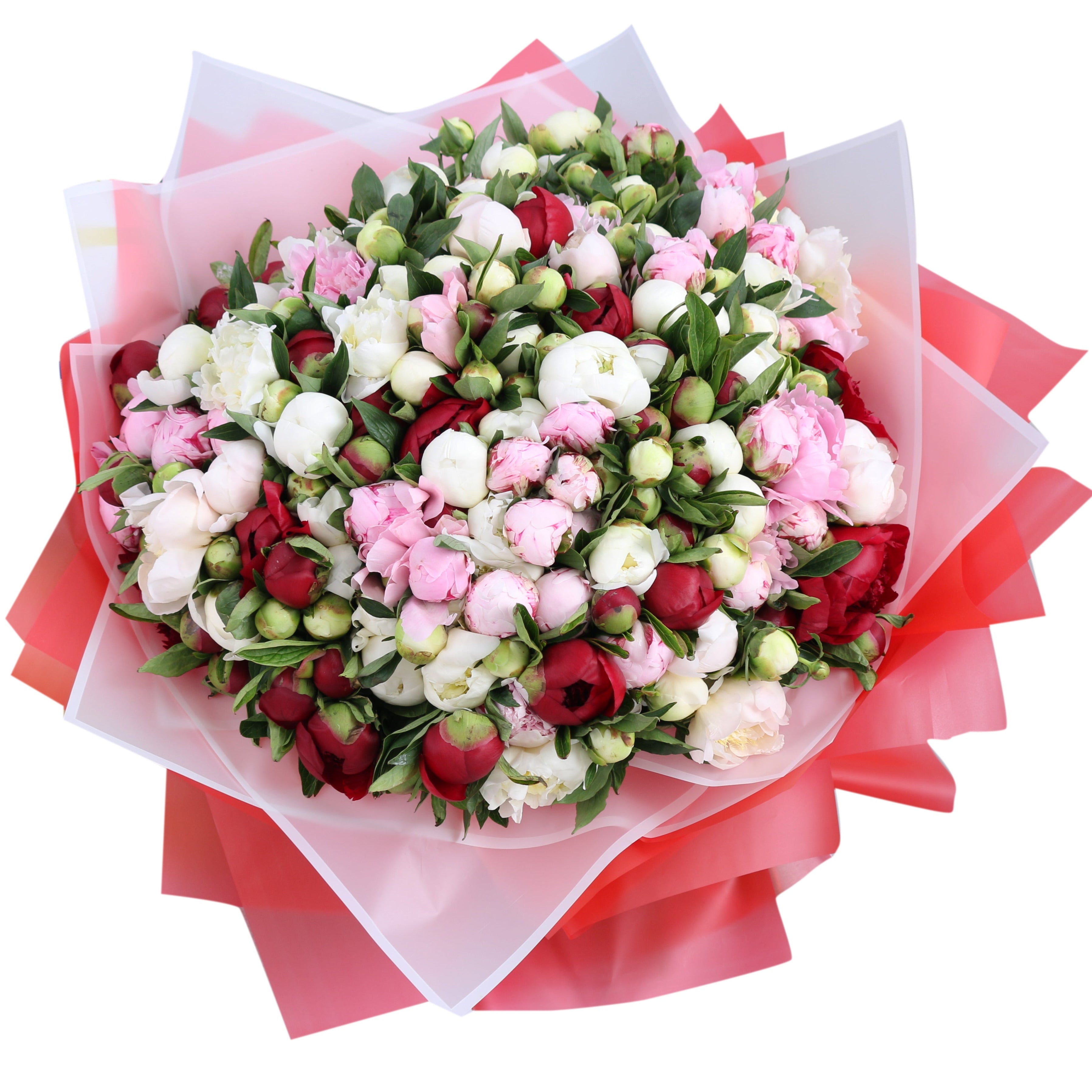 201 Multi Color Peonies