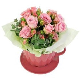Just Delightful - Pink - FWR - Arabian Petals (2105656705082)