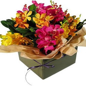 Kaleidoscope - FWR - Arabian Petals (2092985811002)