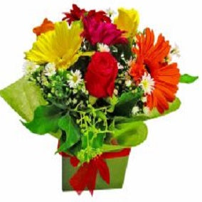 Levity - FWR - Arabian Petals (2096512499770)